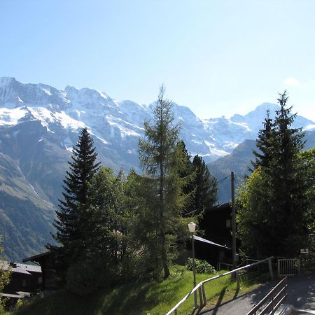 Chalet Schoenbuehl Mürren Eksteriør bilde