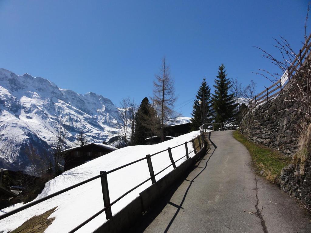 Chalet Schoenbuehl Mürren Eksteriør bilde
