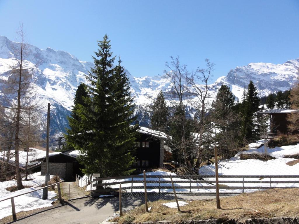 Chalet Schoenbuehl Mürren Eksteriør bilde