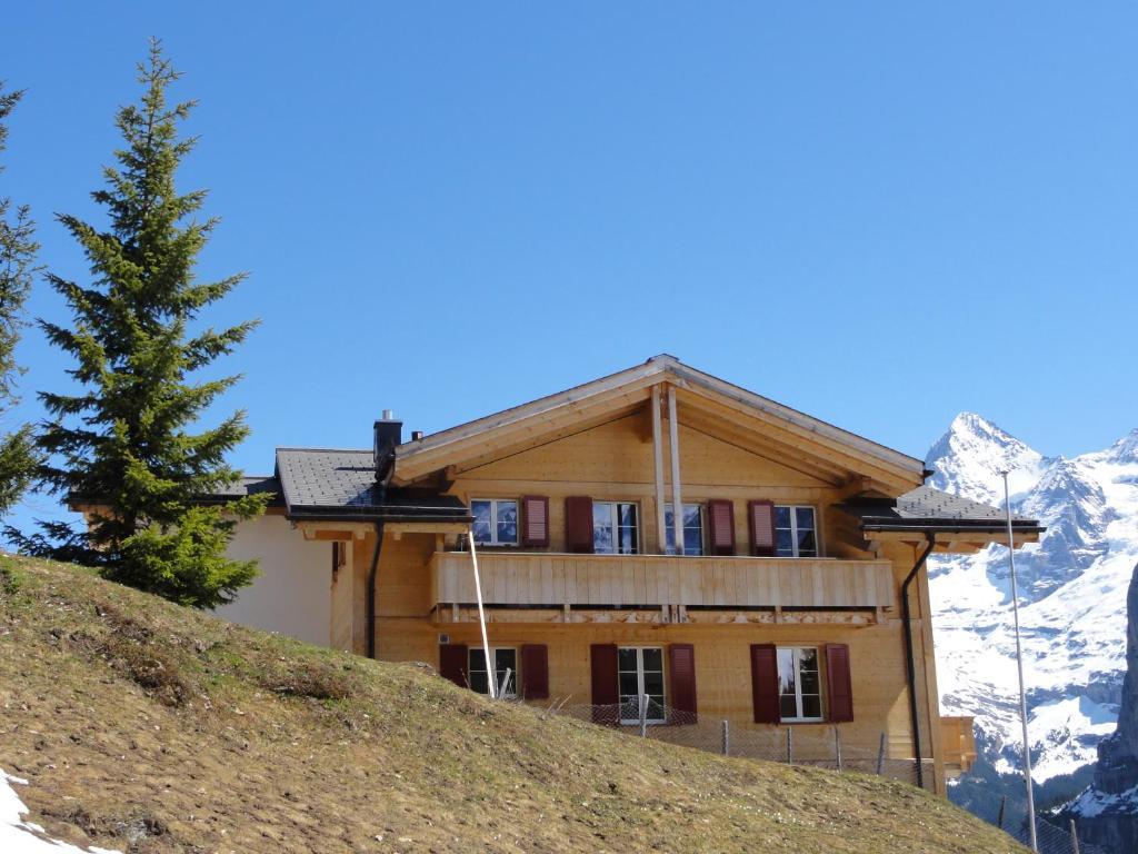 Chalet Schoenbuehl Mürren Eksteriør bilde