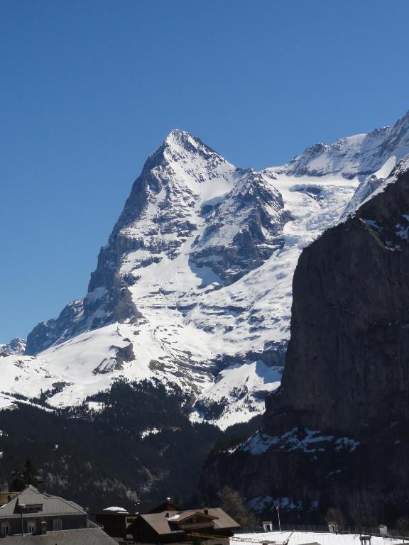 Chalet Schoenbuehl Mürren Eksteriør bilde