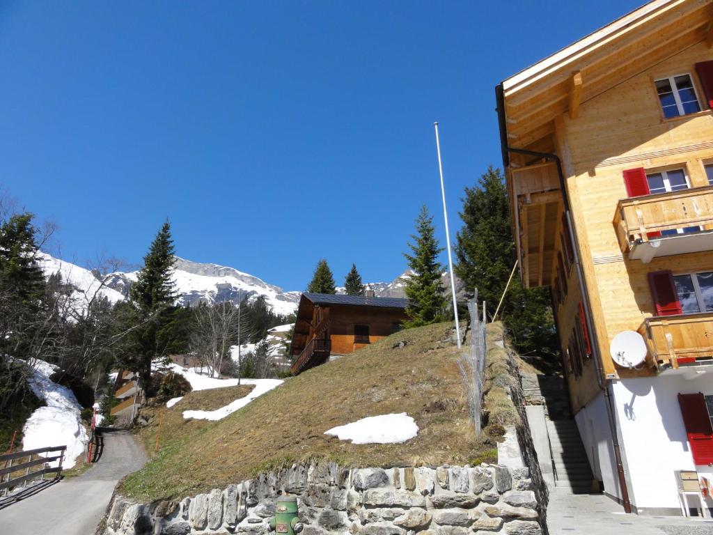 Chalet Schoenbuehl Mürren Eksteriør bilde