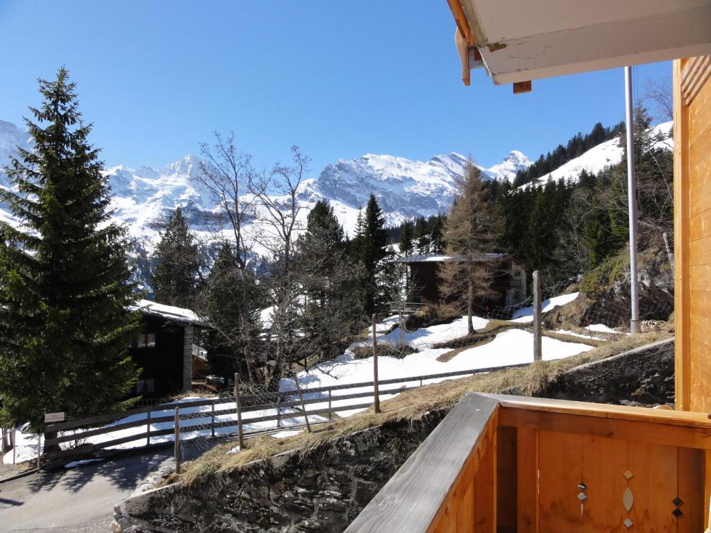 Chalet Schoenbuehl Mürren Eksteriør bilde