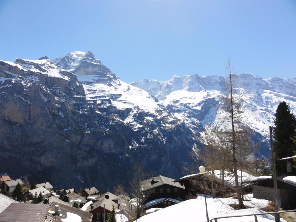Chalet Schoenbuehl Mürren Eksteriør bilde